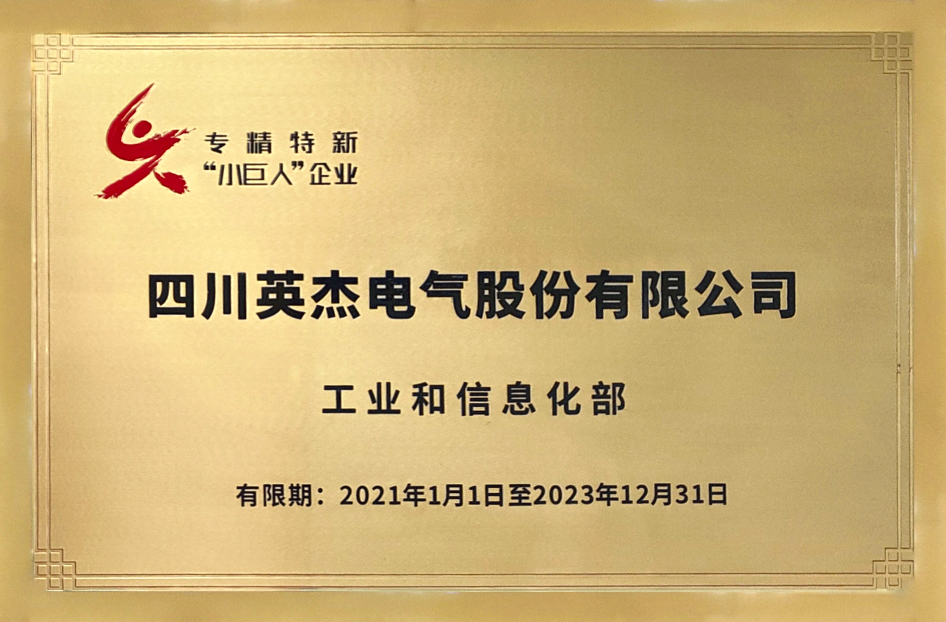 國家專精特新小巨人企業(yè)